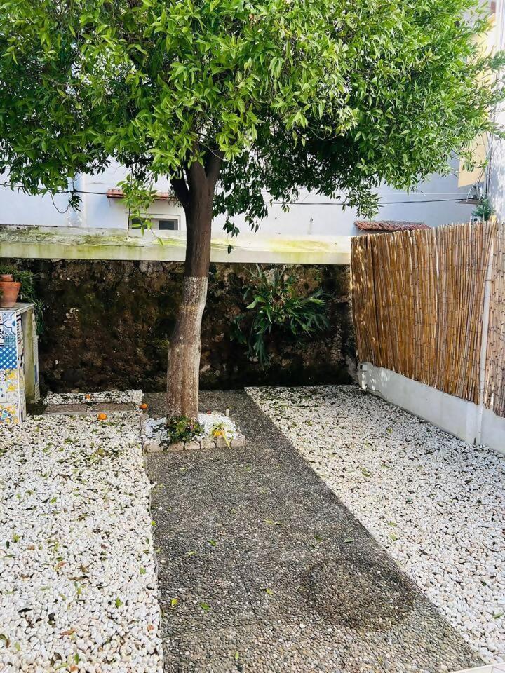 Marisabella Luxury Home Vico Equense Kültér fotó